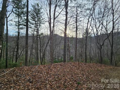 00 Wispy Willow Drive Waynesville NC 28785