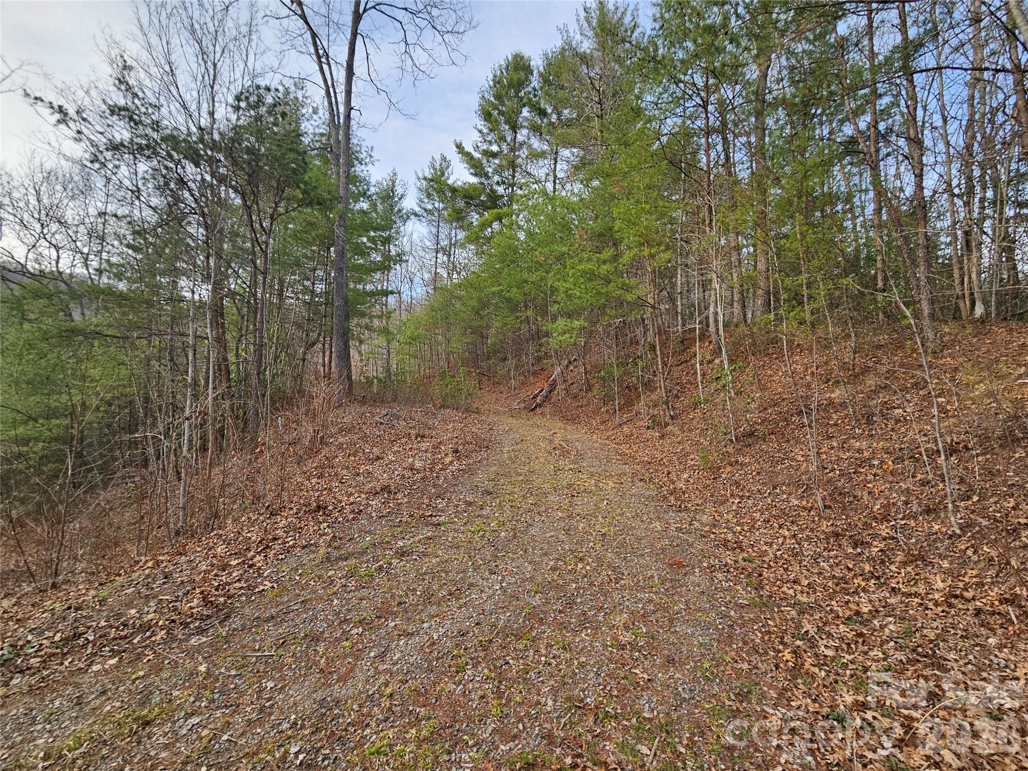 00 Wispy Willow Drive Waynesville NC 28785