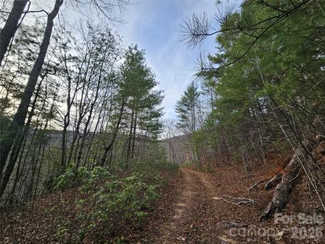 00 Wispy Willow Drive Waynesville NC 28785