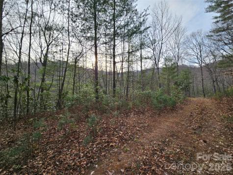 00 Wispy Willow Drive Waynesville NC 28785