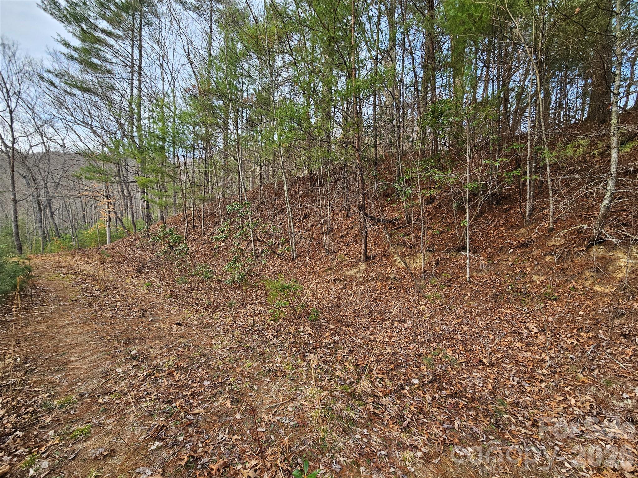 00 Wispy Willow Drive Waynesville NC 28785