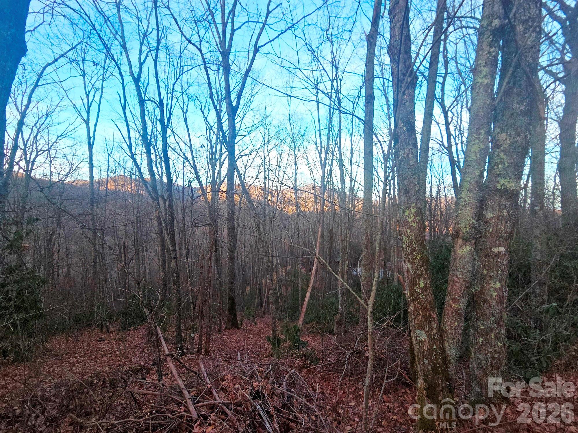 10 Tall Oaks Drive Maggie Valley NC 28751
