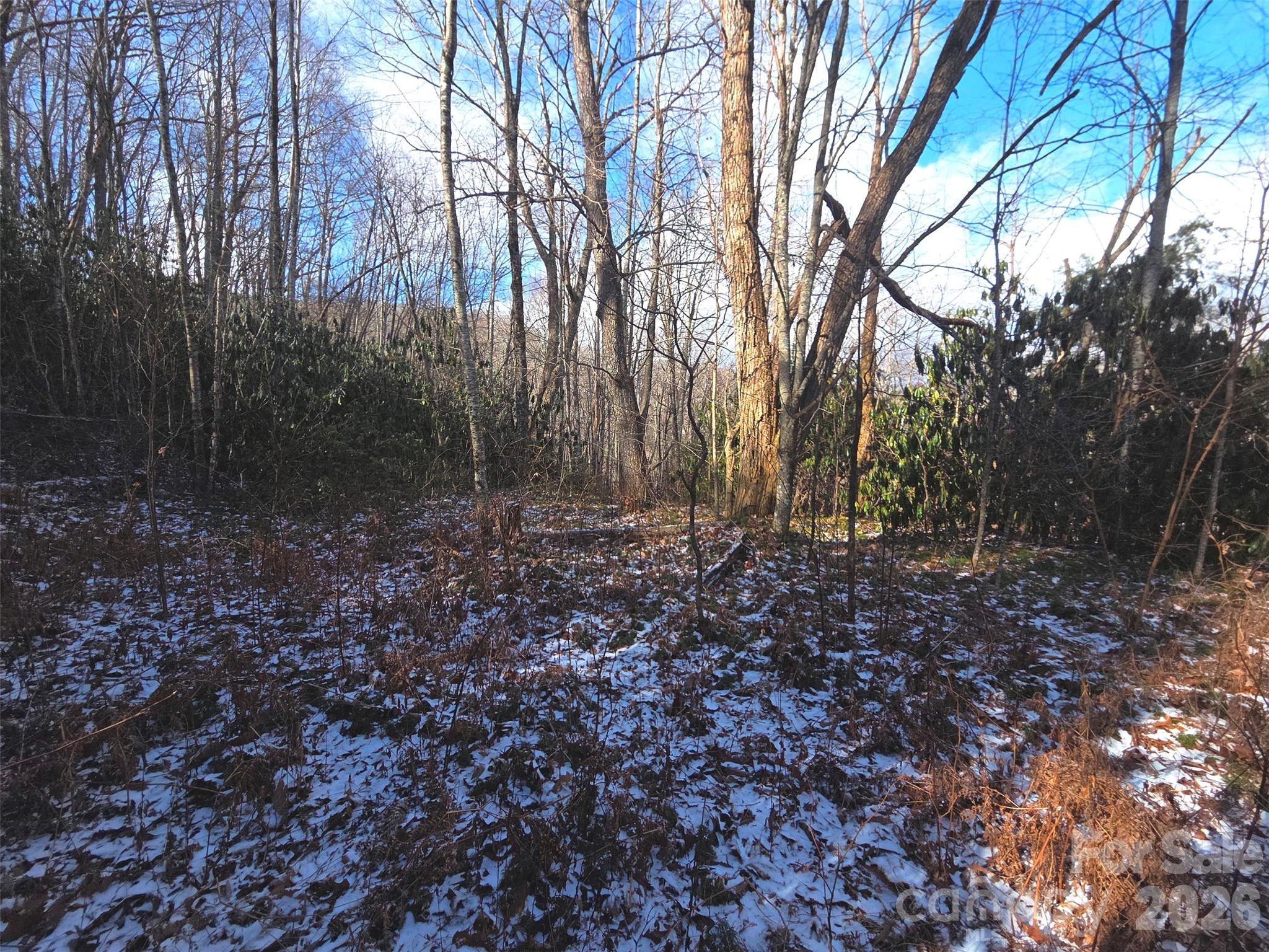 10 Tall Oaks Drive Maggie Valley NC 28751