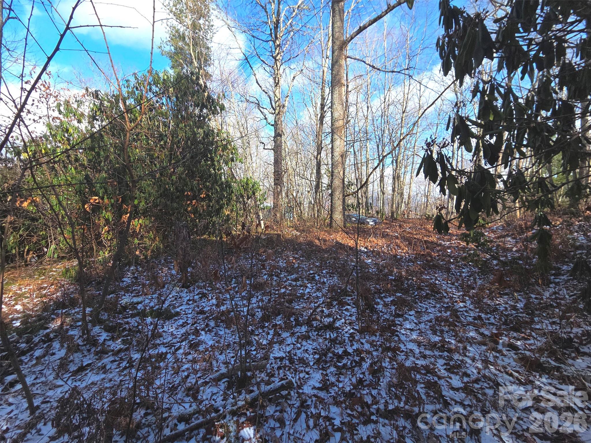 10 Tall Oaks Drive Maggie Valley NC 28751