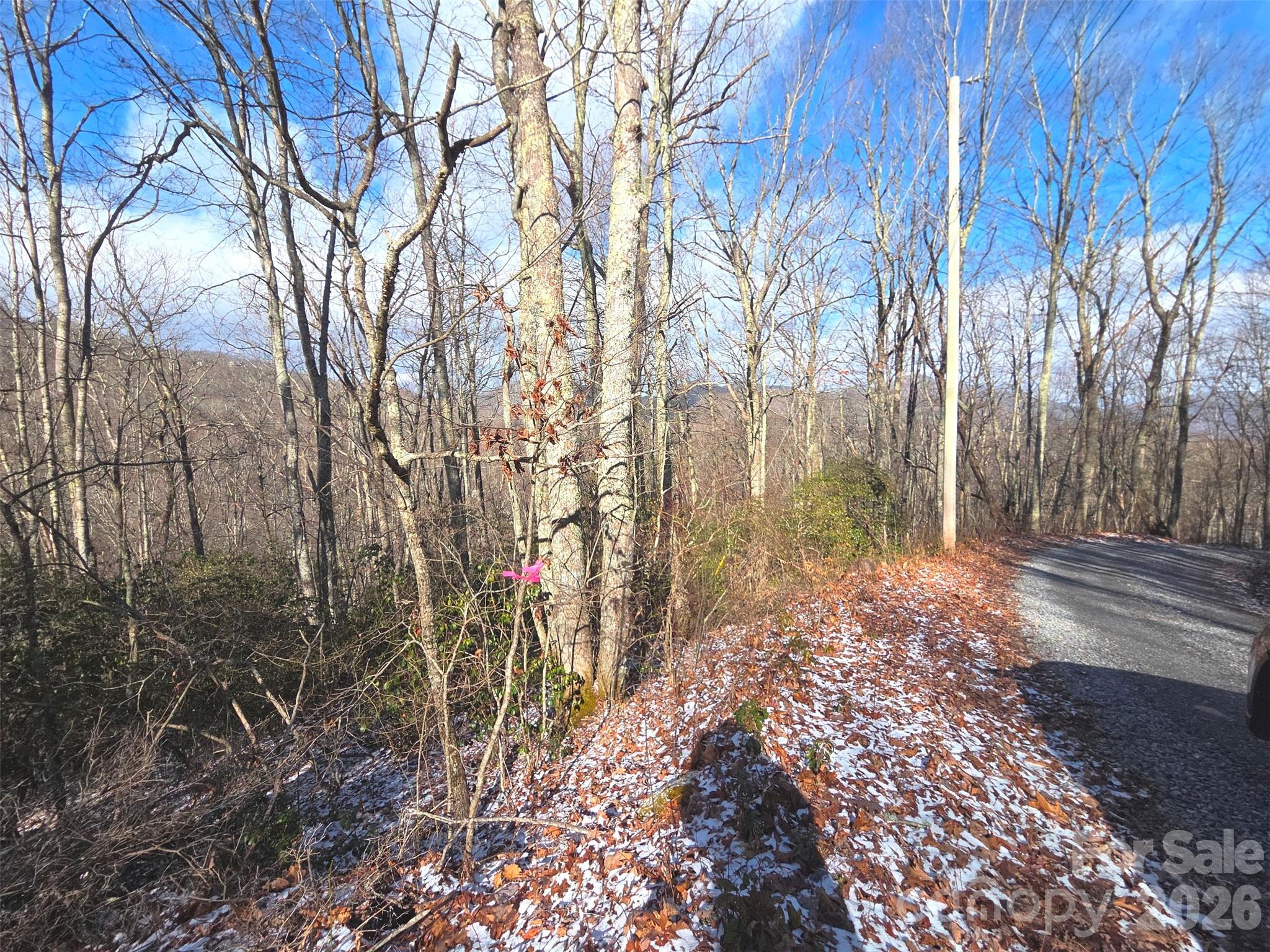 10 Tall Oaks Drive Maggie Valley NC 28751