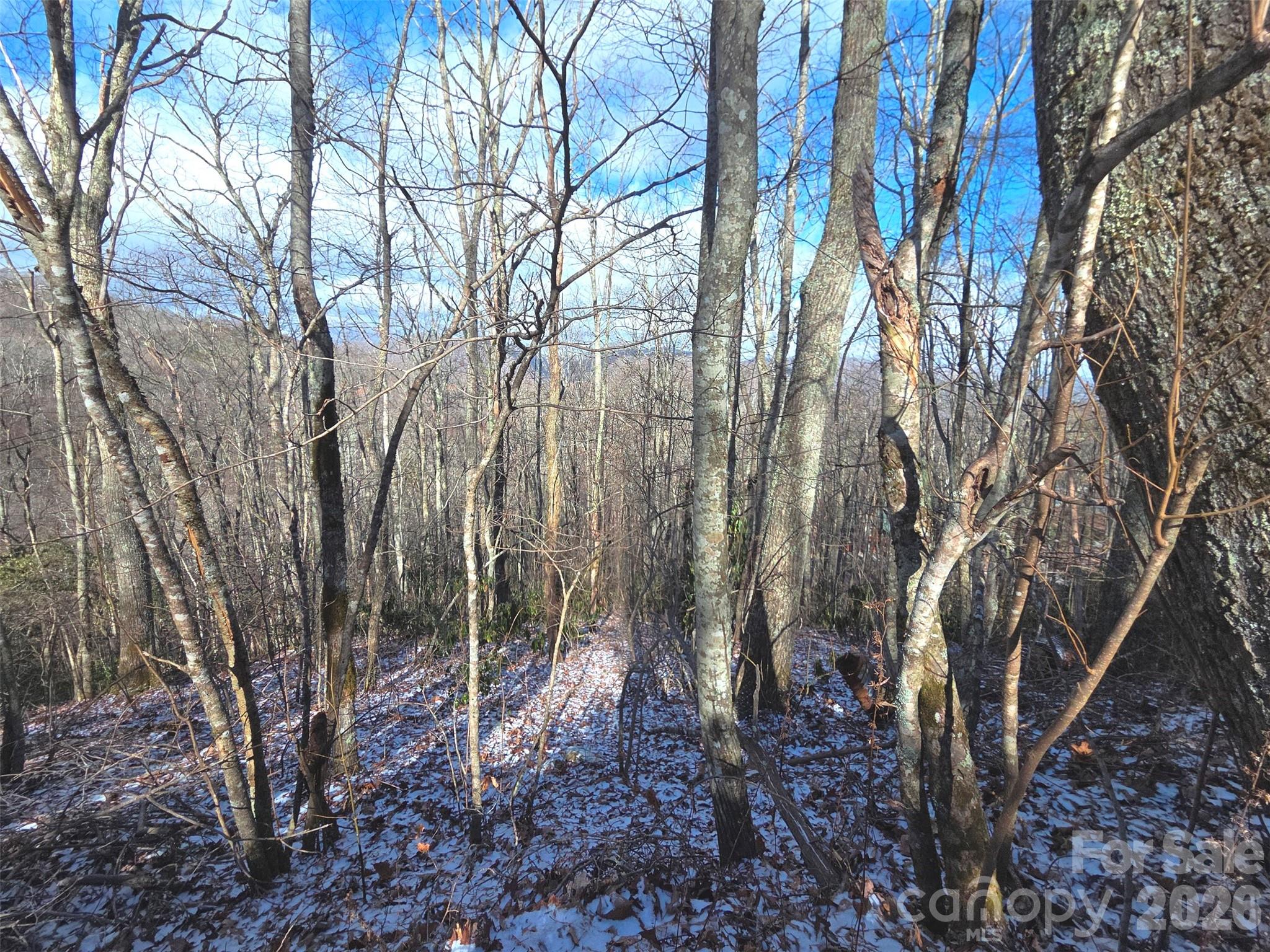 10 Tall Oaks Drive Maggie Valley NC 28751