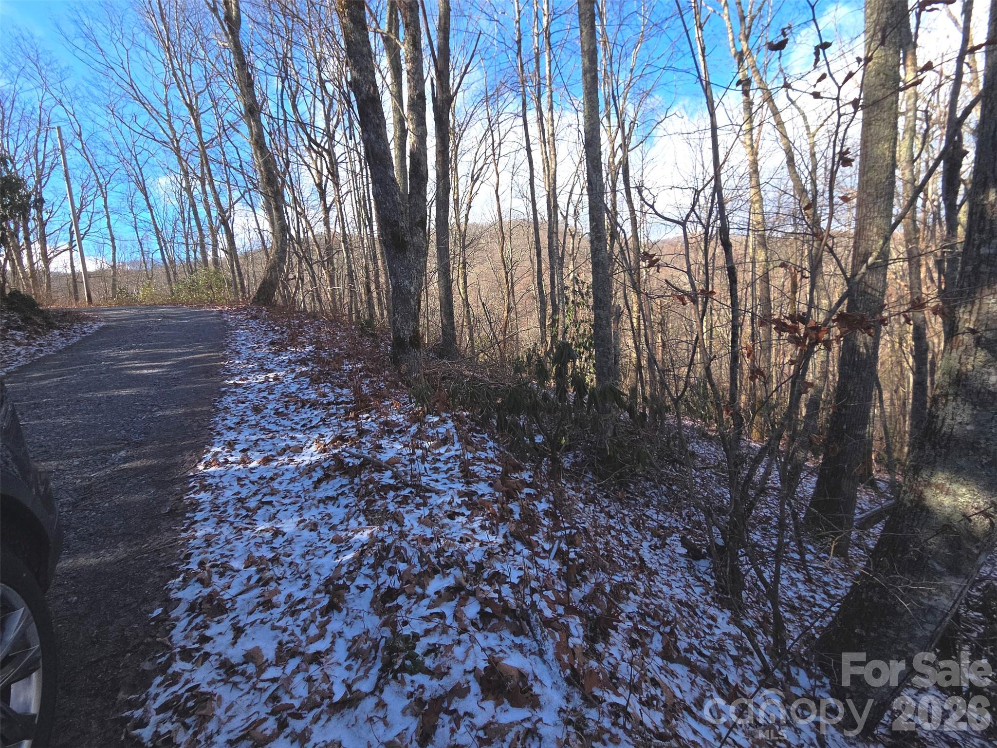 10 Tall Oaks Drive Maggie Valley NC 28751