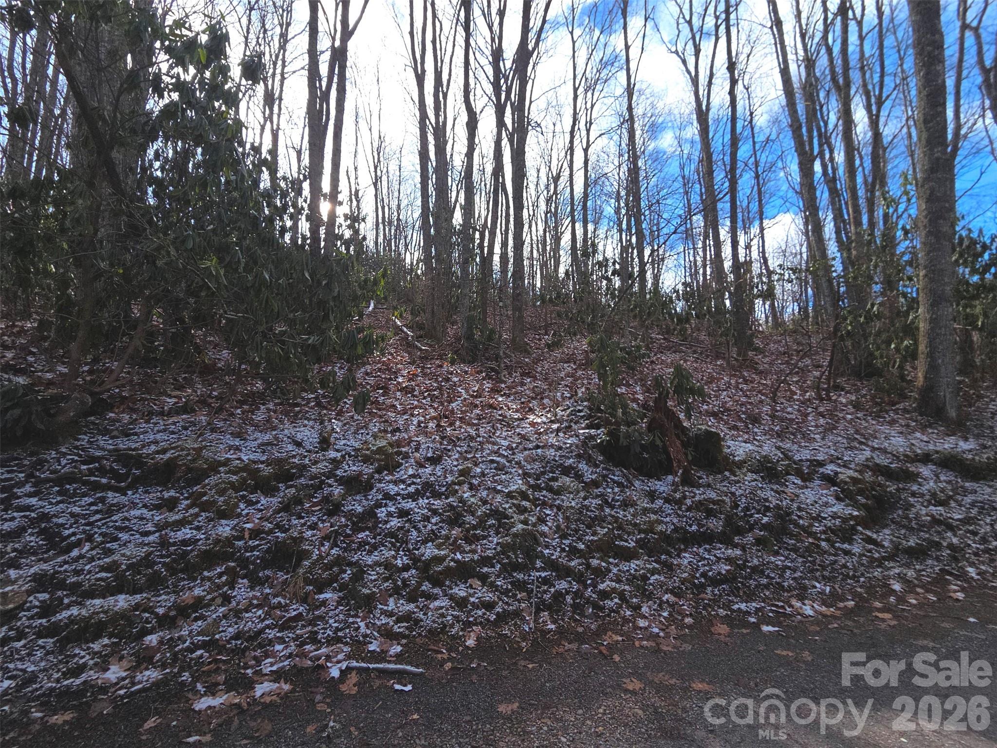 10 Tall Oaks Drive Maggie Valley NC 28751