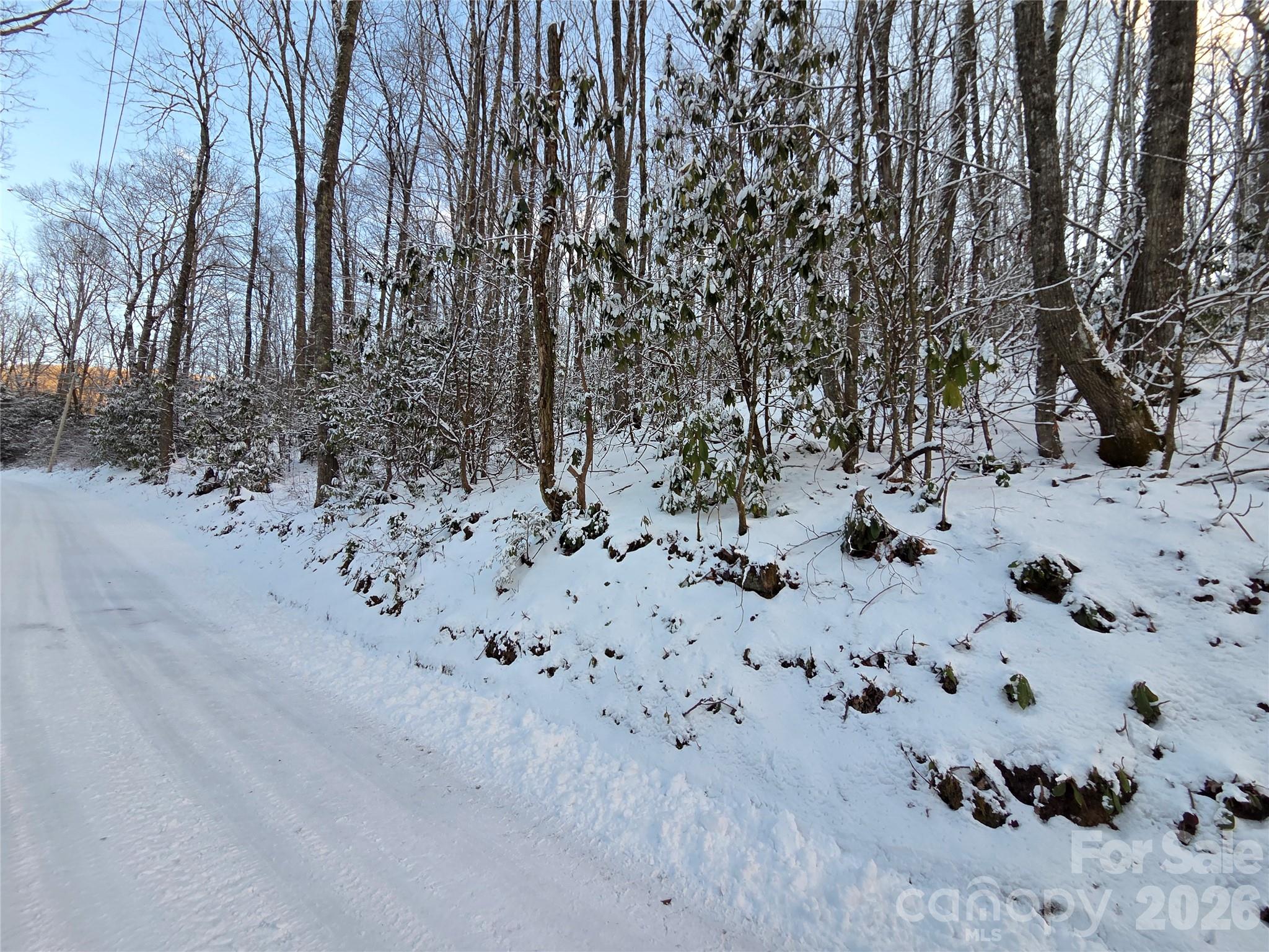 10 Tall Oaks Drive Maggie Valley NC 28751