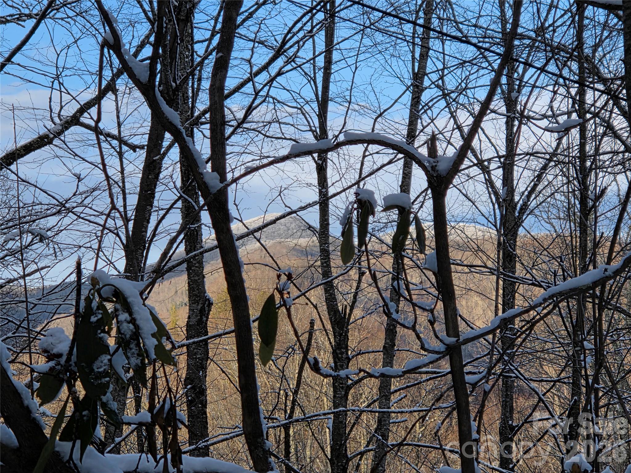 10 Tall Oaks Drive Maggie Valley NC 28751