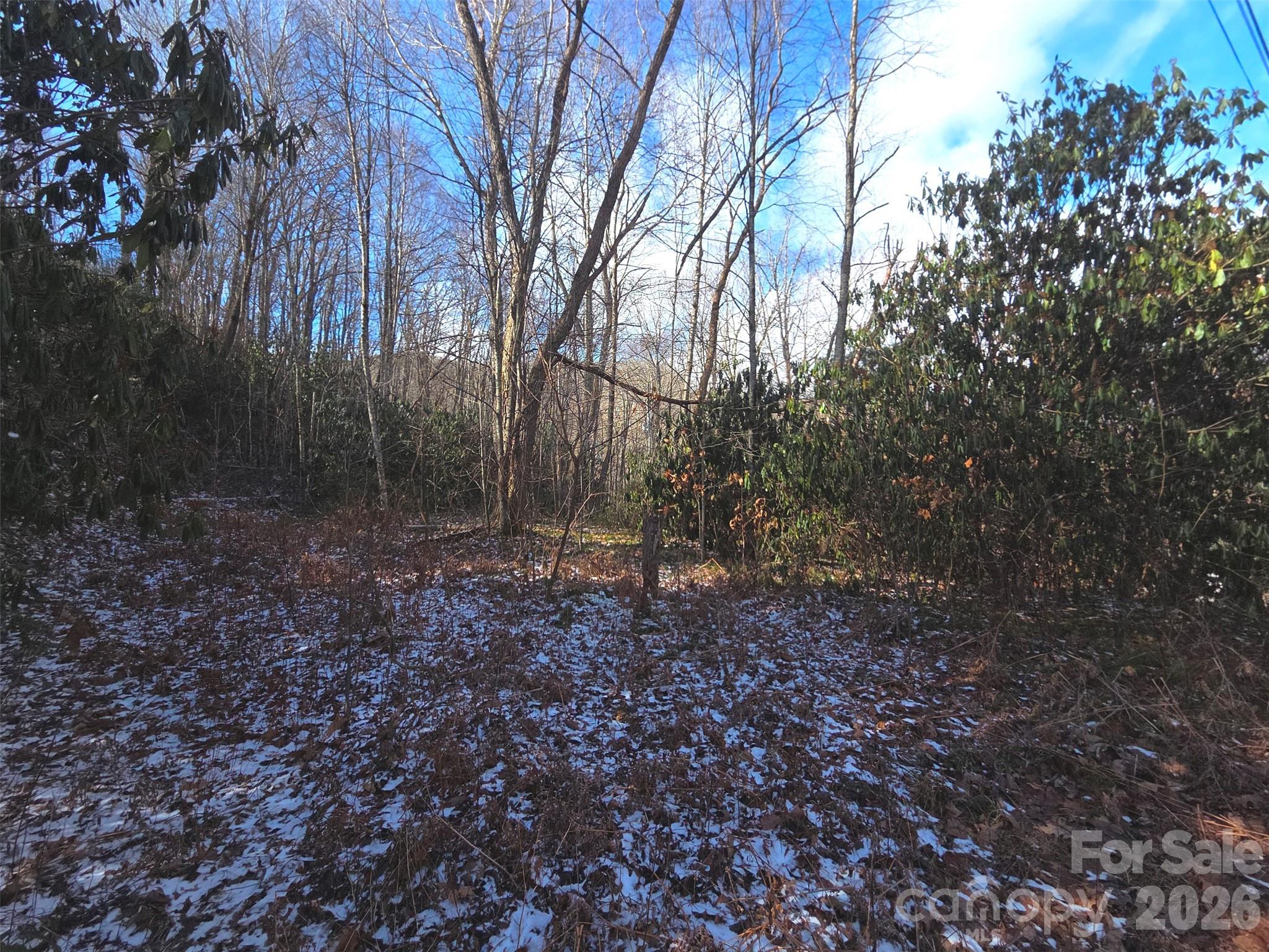 10 Tall Oaks Drive Maggie Valley NC 28751