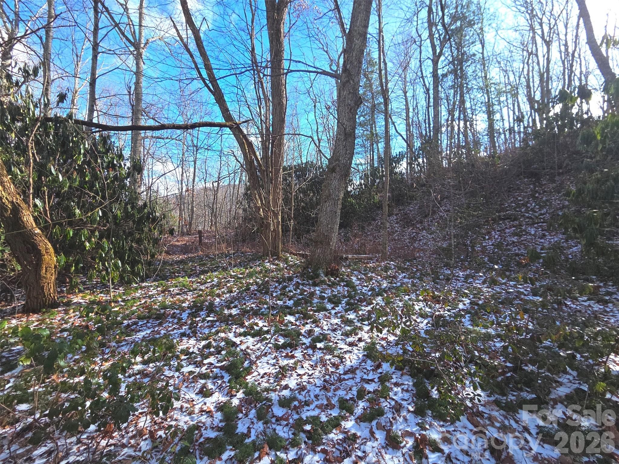 10 Tall Oaks Drive Maggie Valley NC 28751