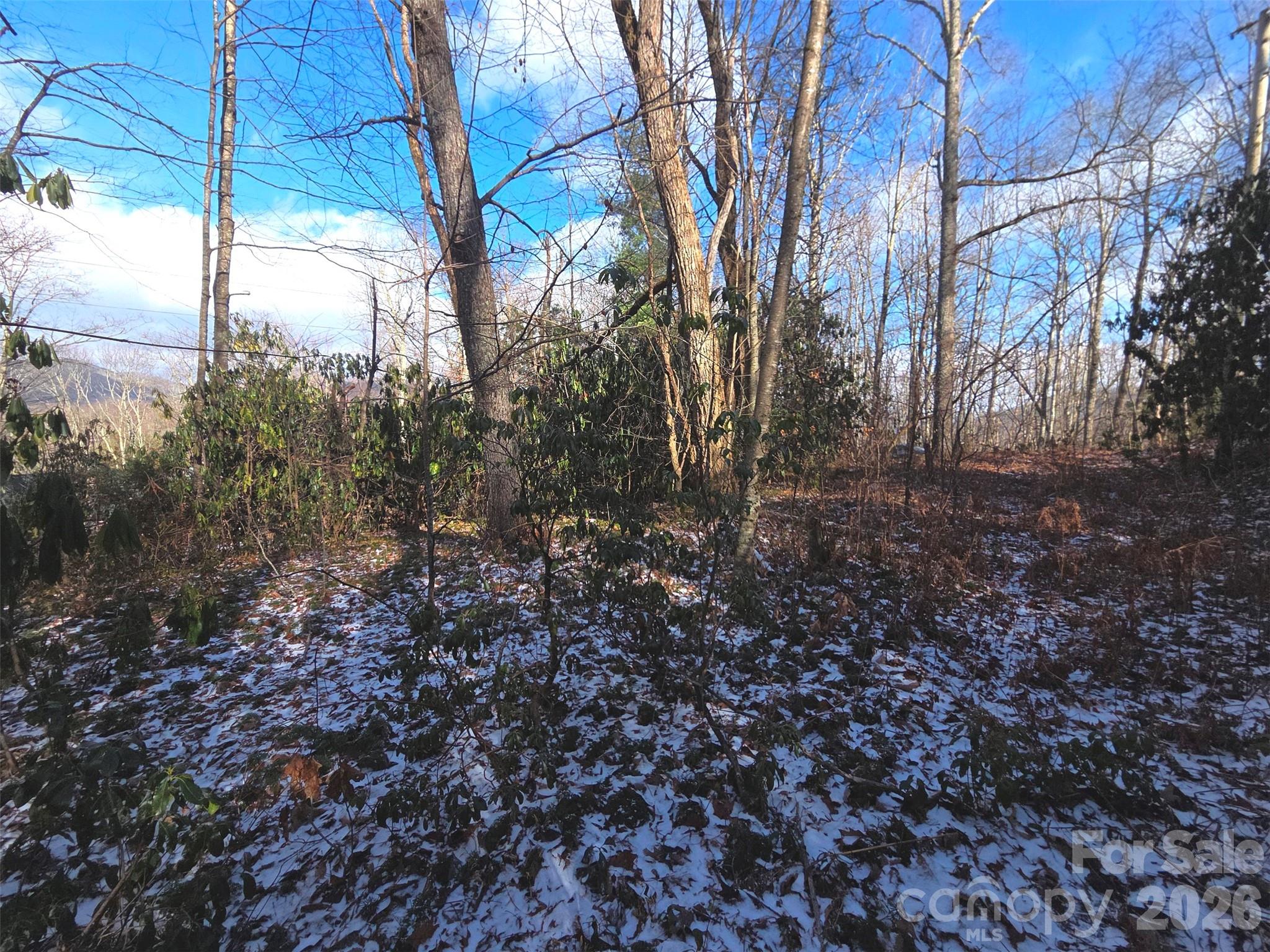 10 Tall Oaks Drive Maggie Valley NC 28751