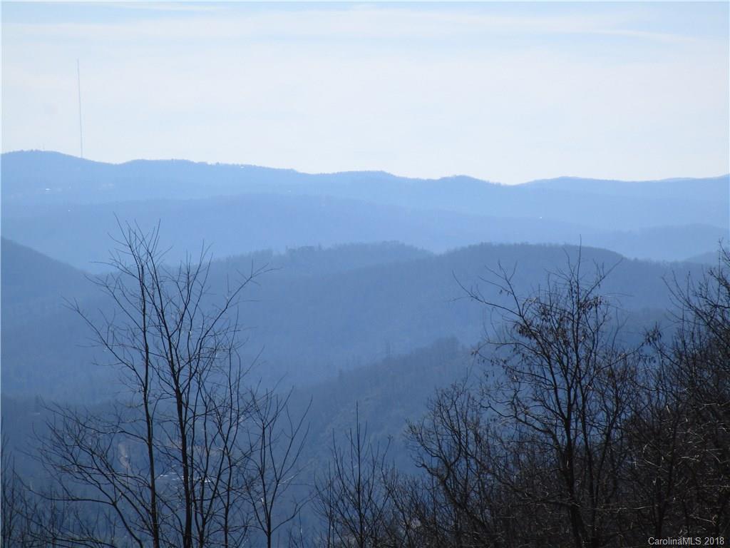 207 Bobcat Lair Drive Mills River NC 28759