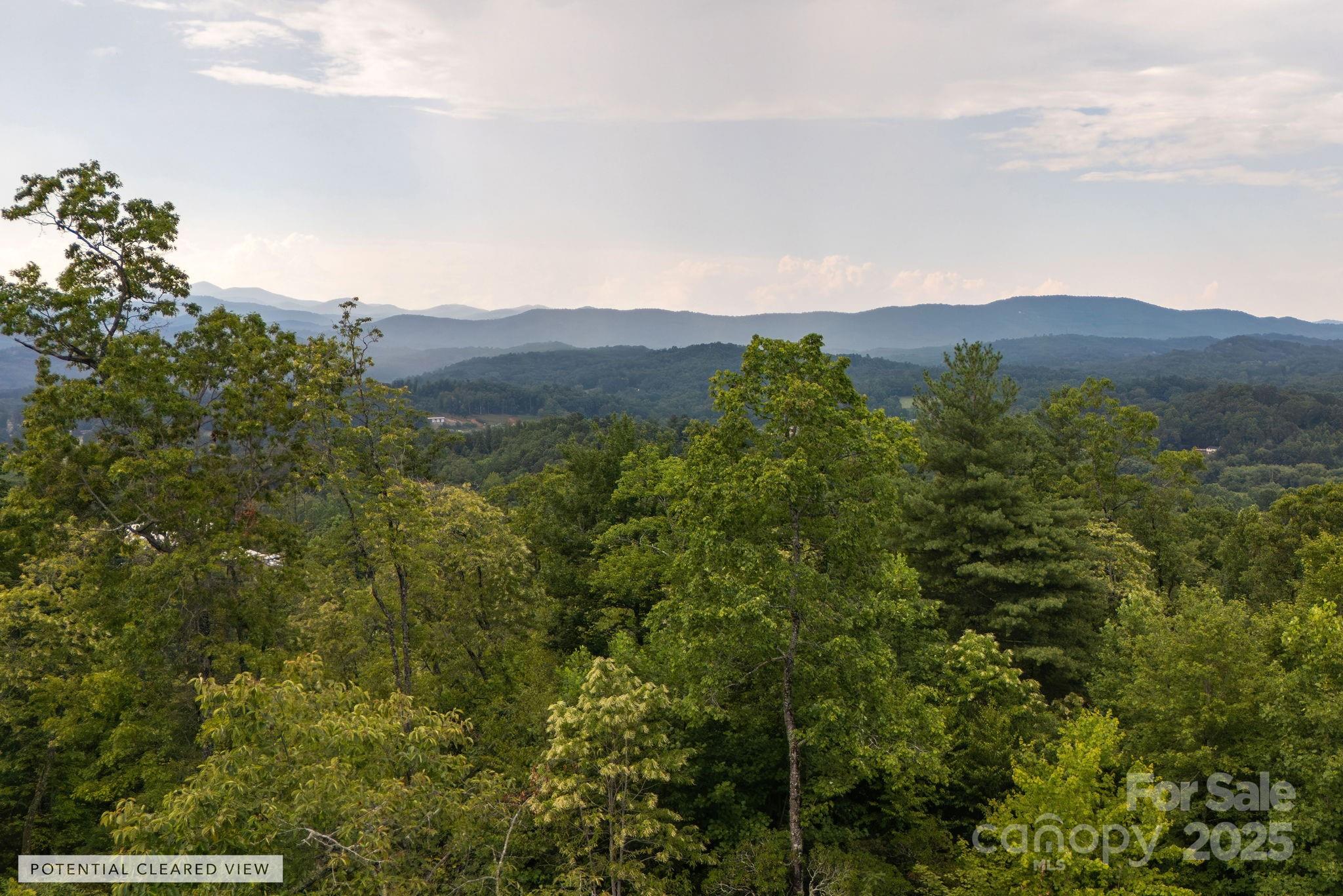 Lot # 7 Masterpiece View Drive Hendersonville NC 28739
