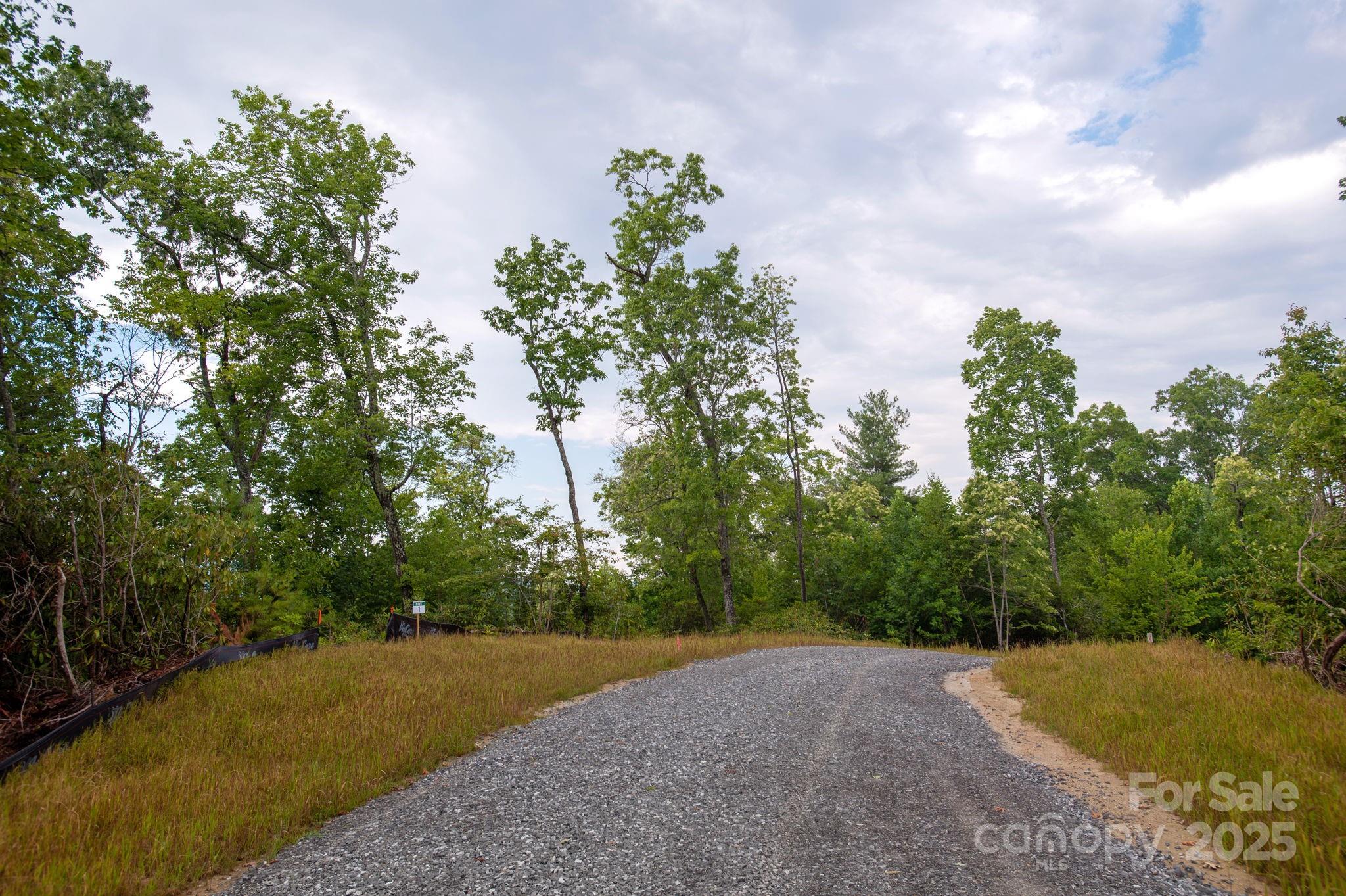 Lot # 7 Masterpiece View Drive Hendersonville NC 28739