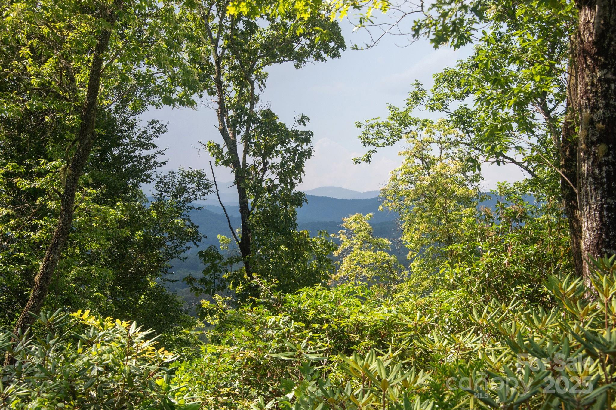 Lot # 7 Masterpiece View Drive Hendersonville NC 28739