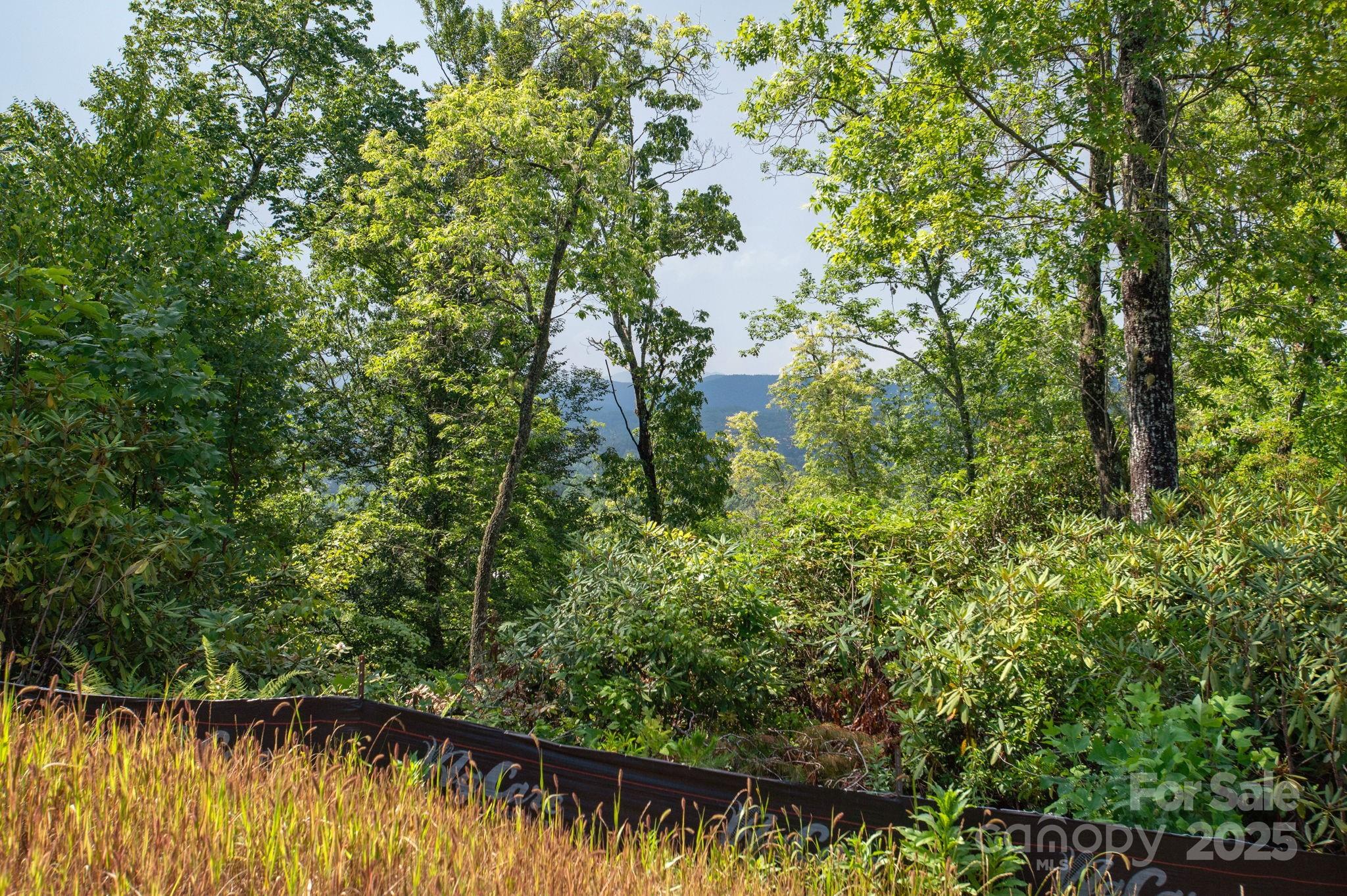 Lot # 7 Masterpiece View Drive Hendersonville NC 28739