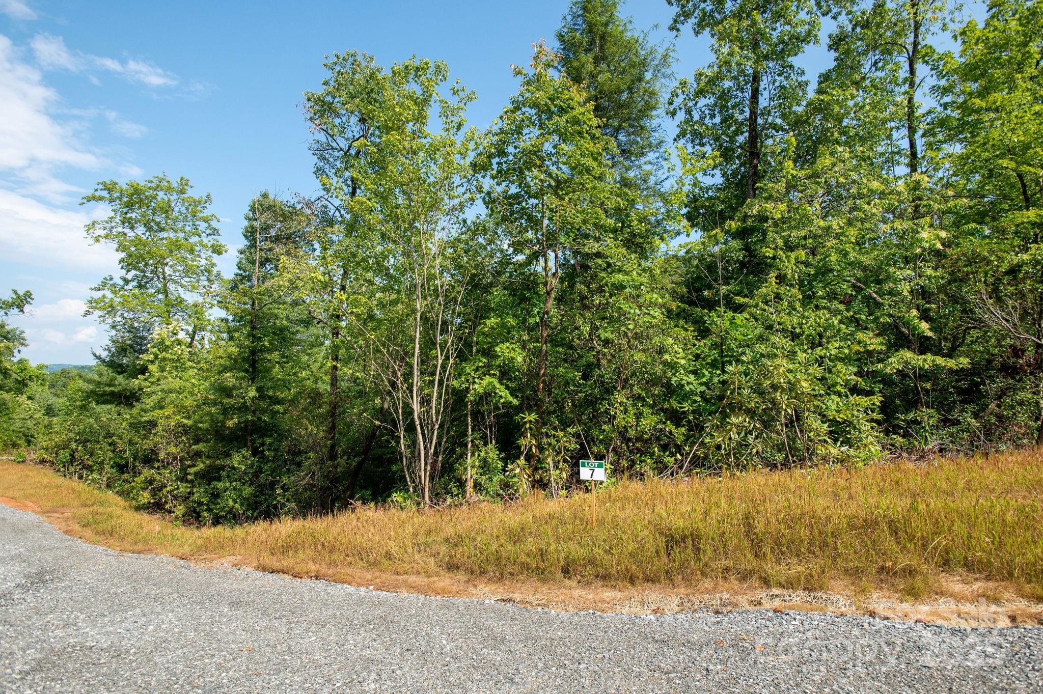 Lot # 7 Masterpiece View Drive Hendersonville NC 28739