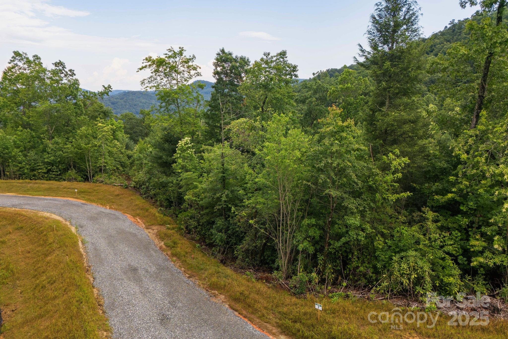 Lot # 7 Masterpiece View Drive Hendersonville NC 28739