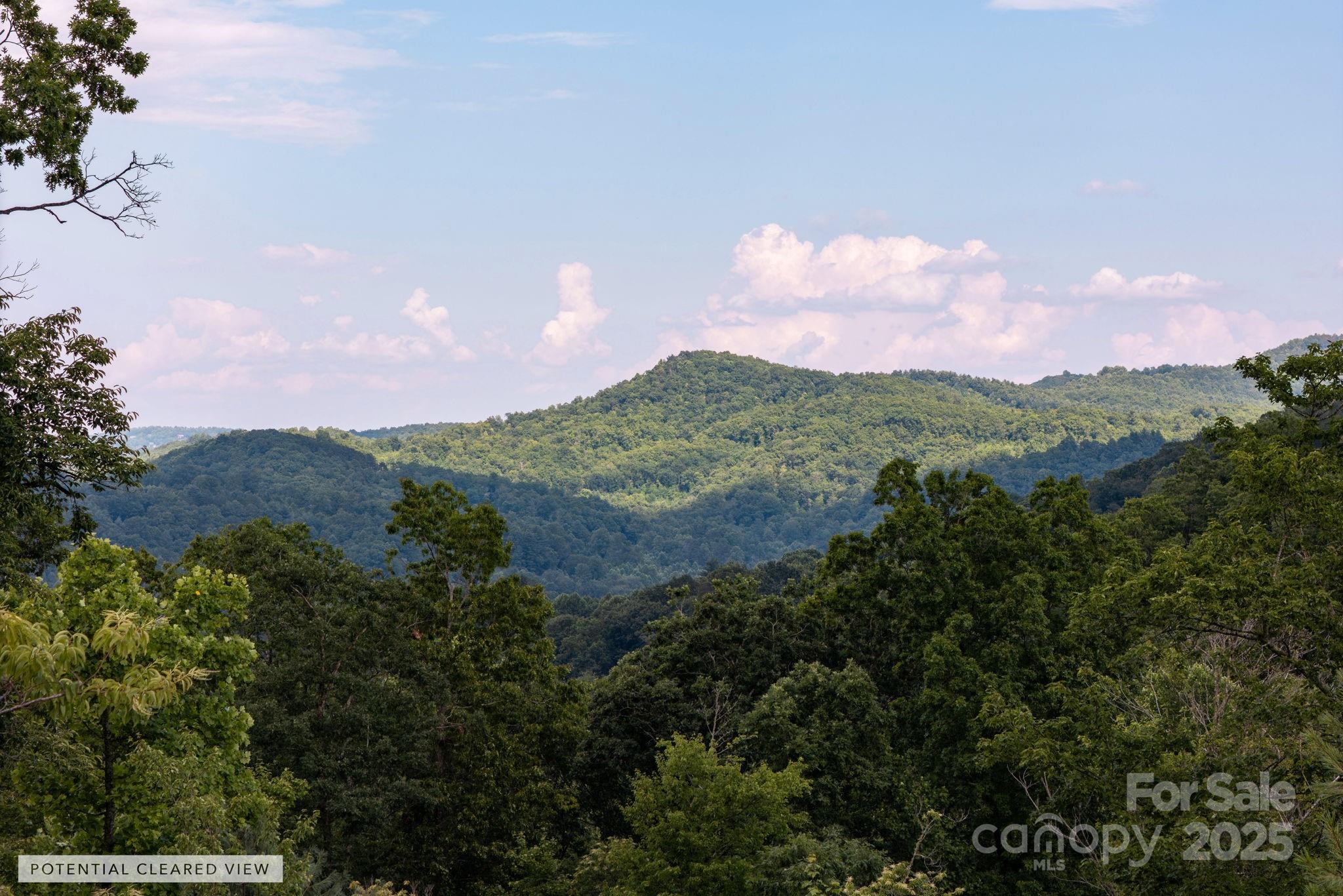 Lot # 7 Masterpiece View Drive Hendersonville NC 28739