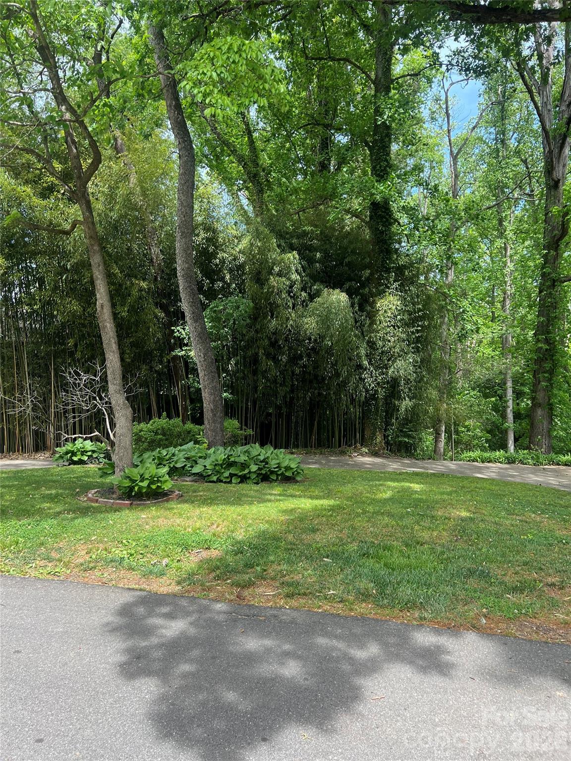 41 Chiles Avenue Asheville NC 28803