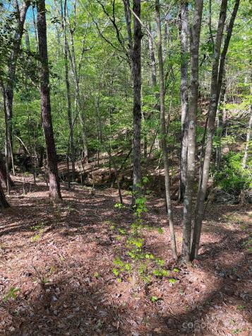 00 Sanctuary Lane Lilesville NC 28091