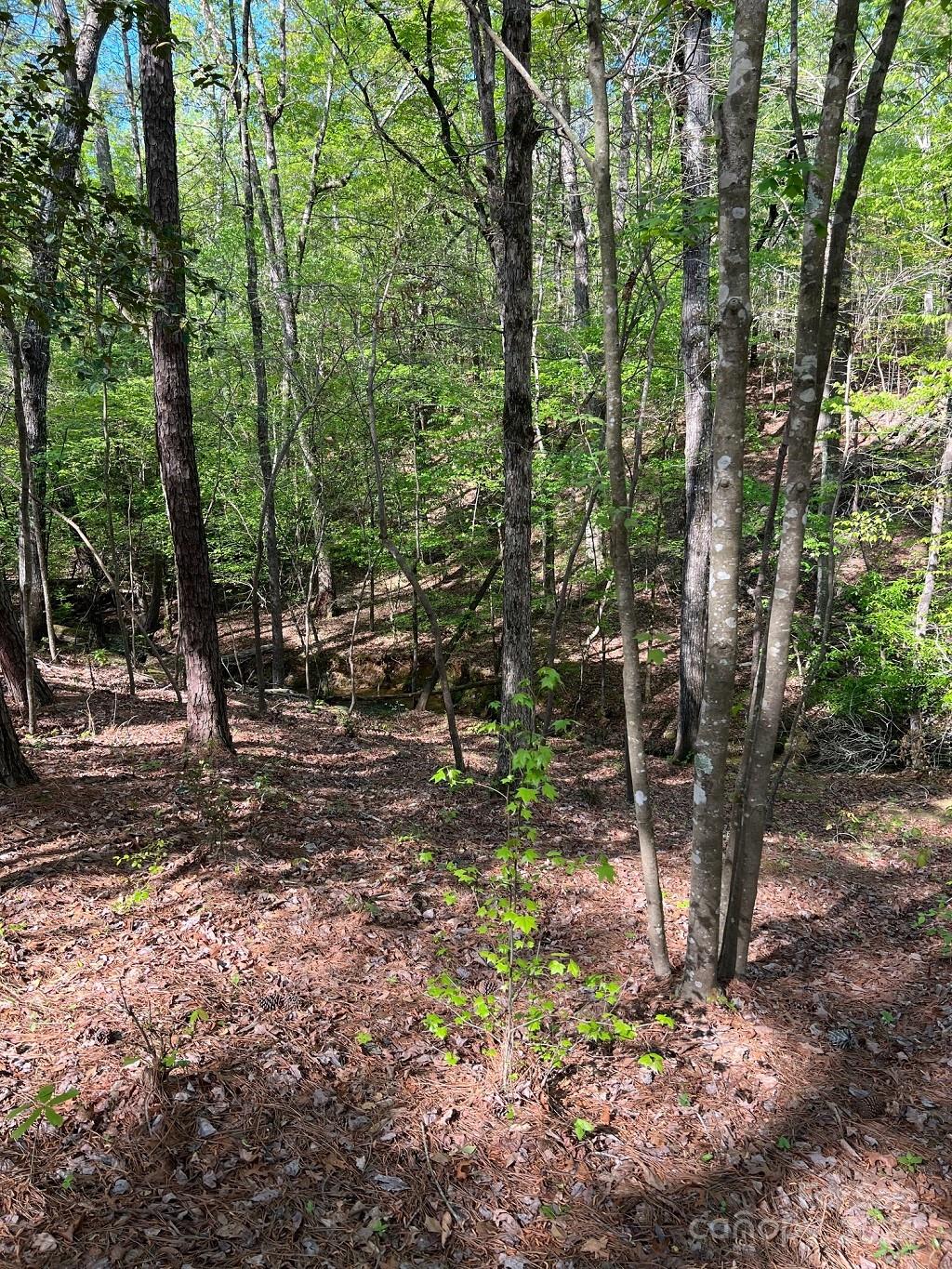 00 Sanctuary Lane Lilesville NC 28091