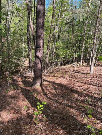 00 Sanctuary Lane Lilesville NC 28091