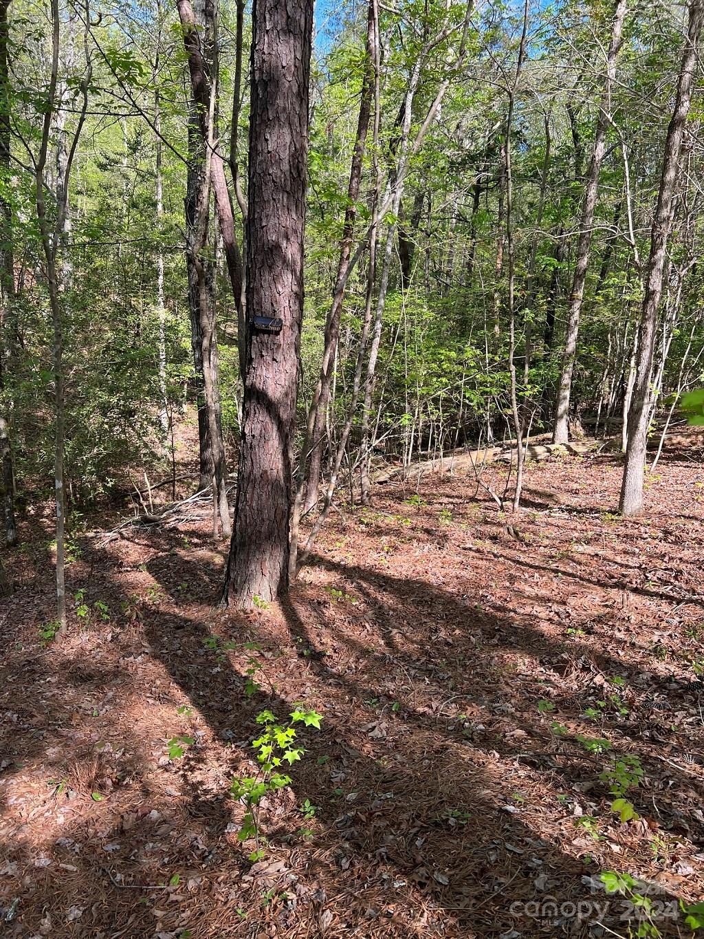 00 Sanctuary Lane Lilesville NC 28091