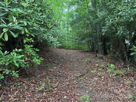 Tbd Blueberry Trail Lake Toxaway NC 28747