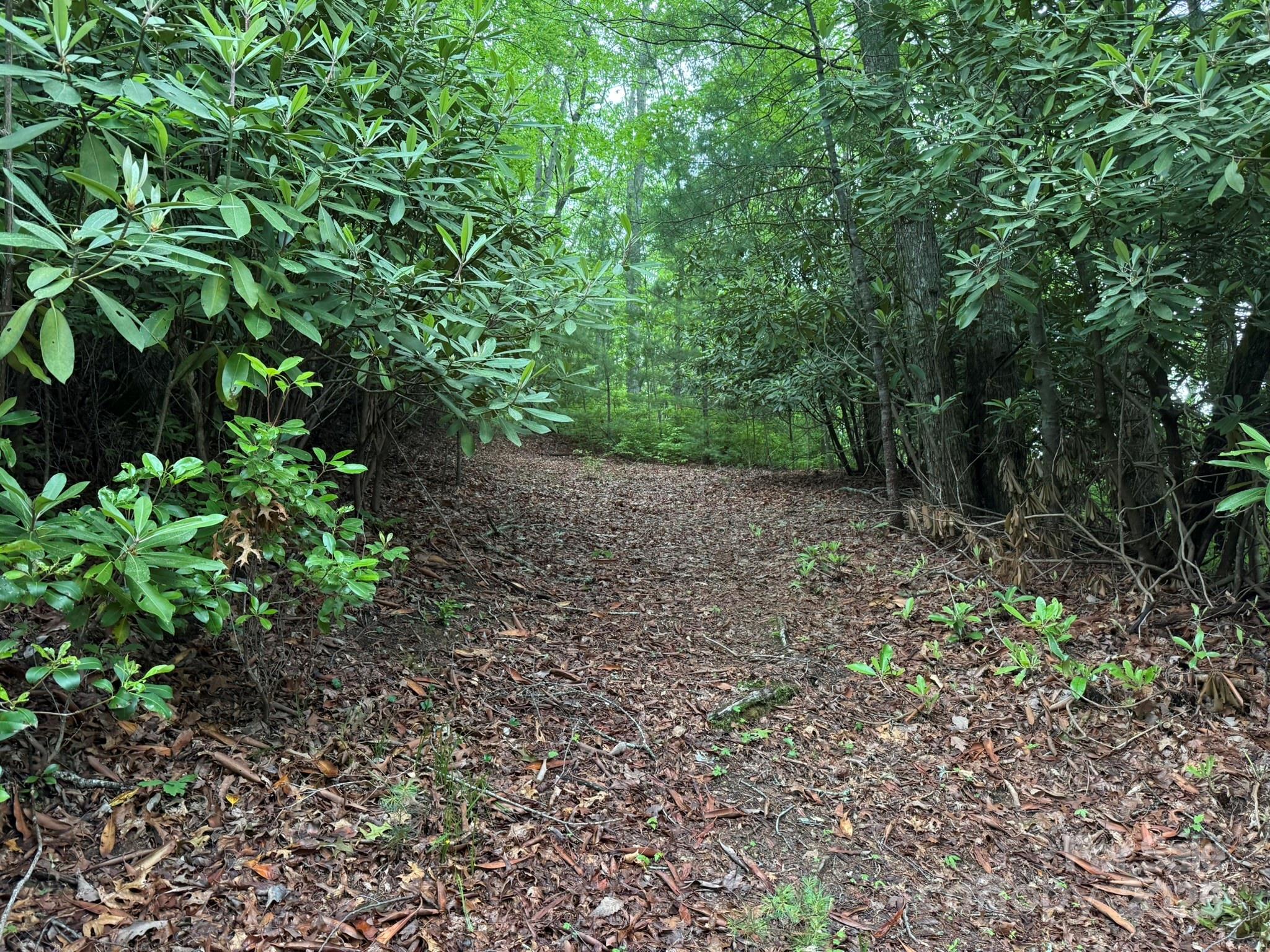 Tbd Blueberry Trail Lake Toxaway NC 28747