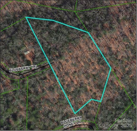 Tbd Blueberry Trail Lake Toxaway NC 28747