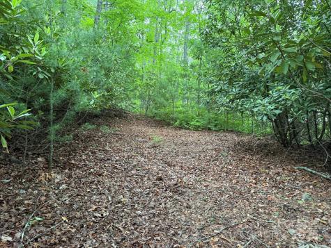 Tbd Blueberry Trail Lake Toxaway NC 28747