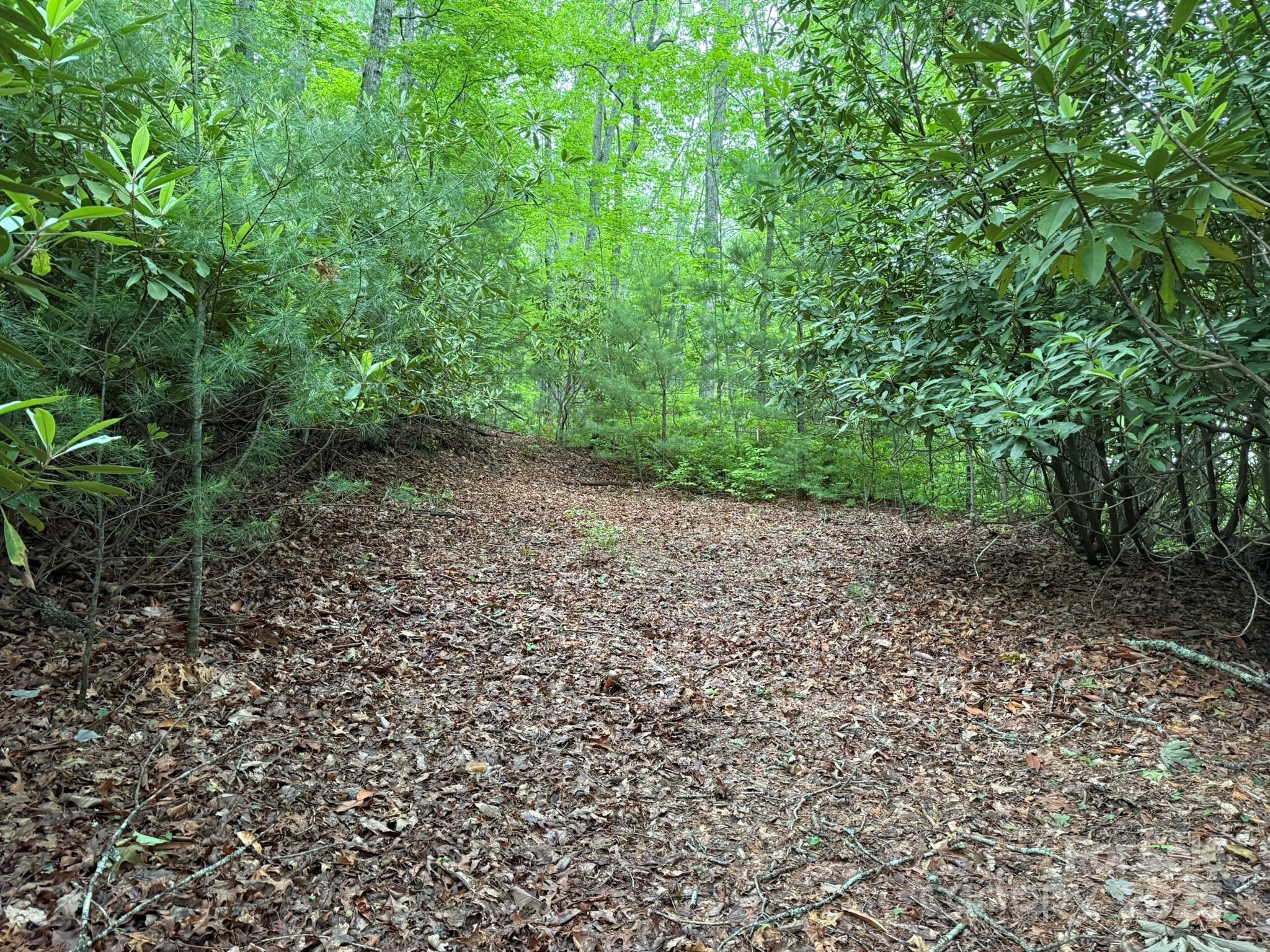 Tbd Blueberry Trail Lake Toxaway NC 28747