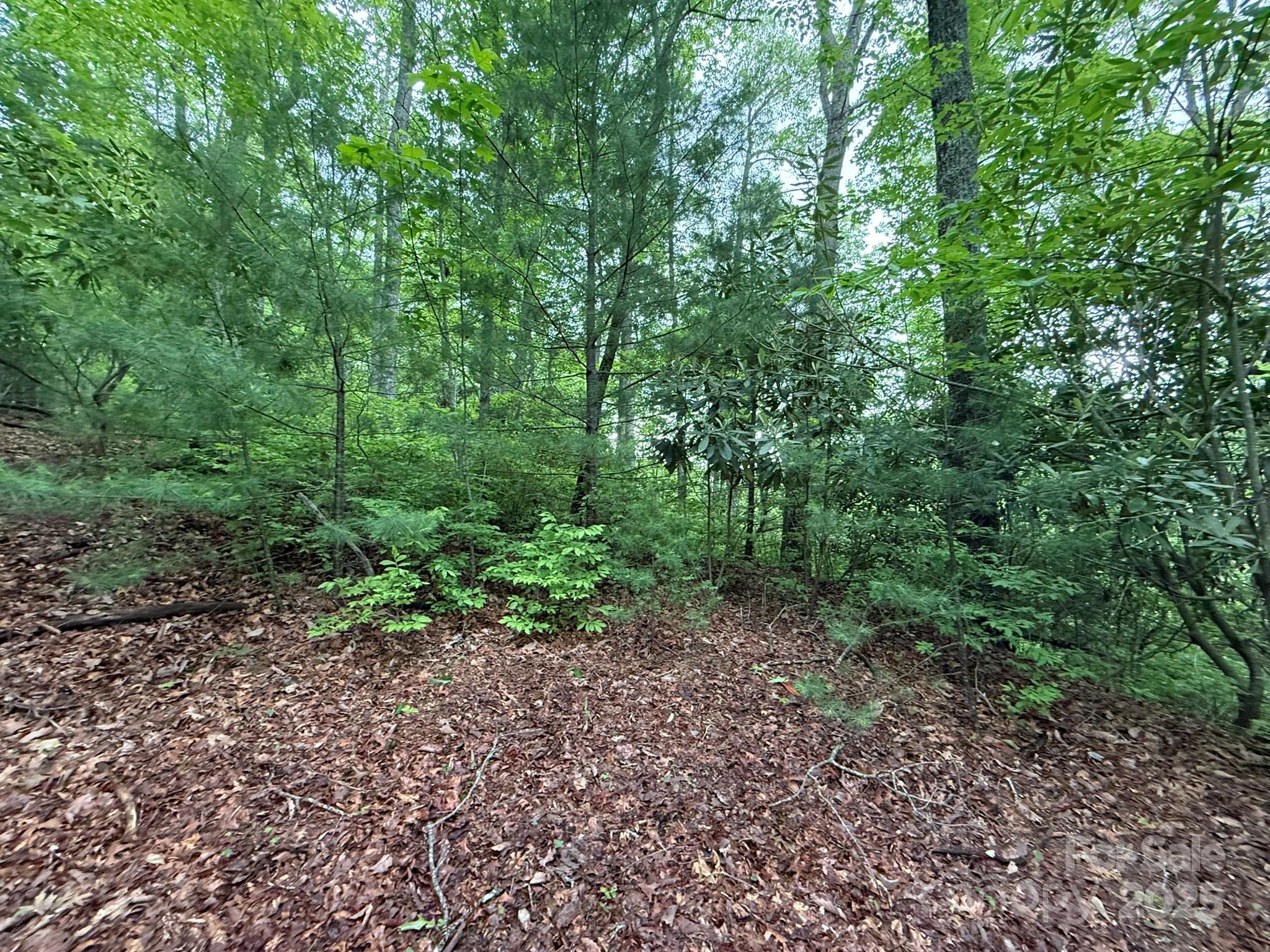 Tbd Blueberry Trail Lake Toxaway NC 28747