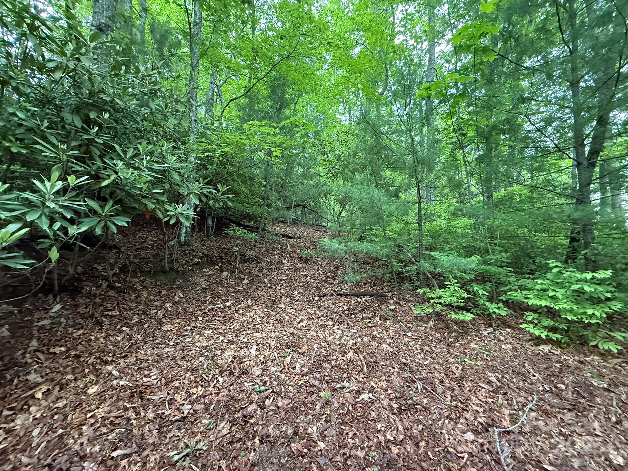 Tbd Blueberry Trail Lake Toxaway NC 28747