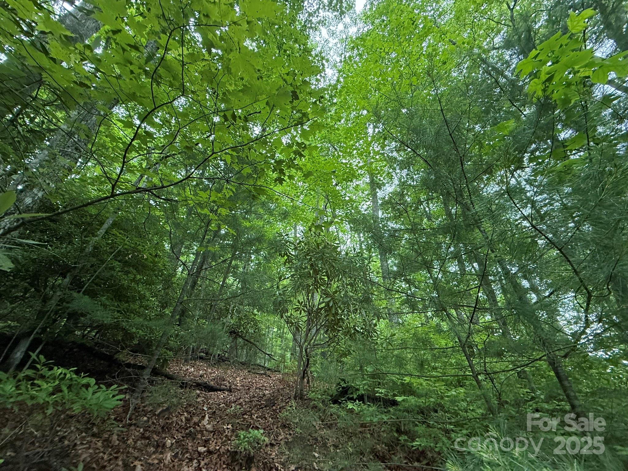 Tbd Blueberry Trail Lake Toxaway NC 28747