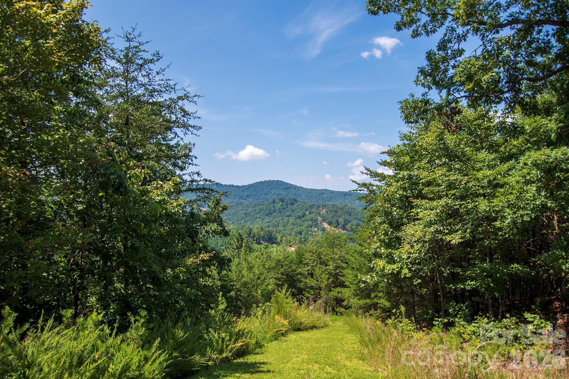 0 Pioneer Gate Drive Bostic NC 28018