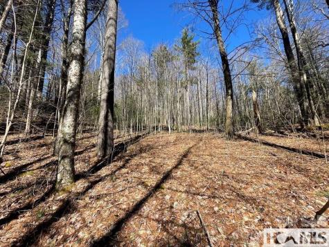 1 Bear Log Road Cashiers NC 28717