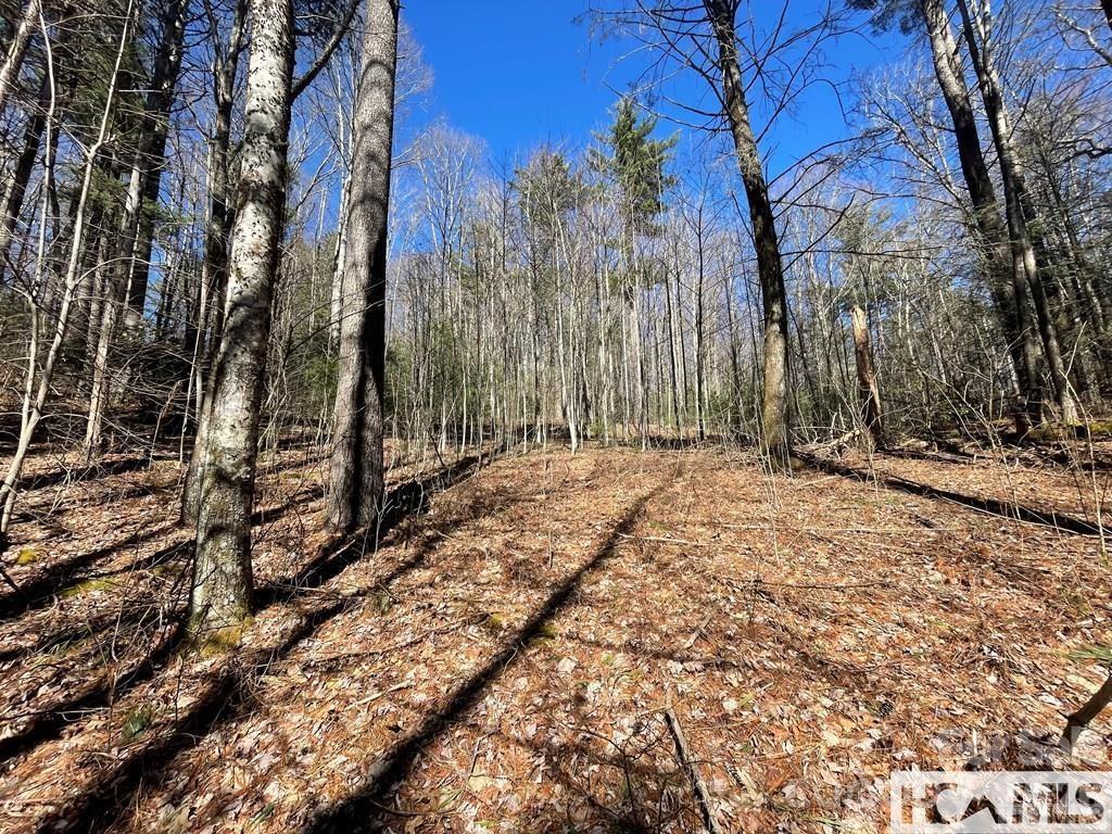 1 Bear Log Road Cashiers NC 28717