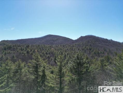 1 Bear Log Road Cashiers NC 28717