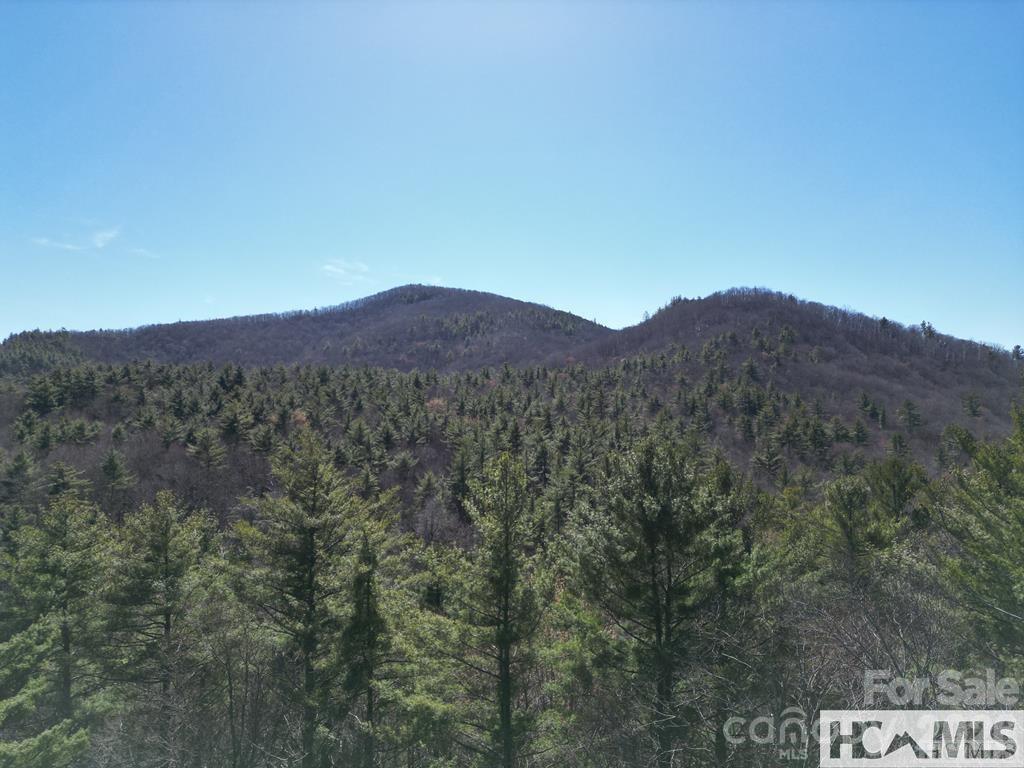 1 Bear Log Road Cashiers NC 28717