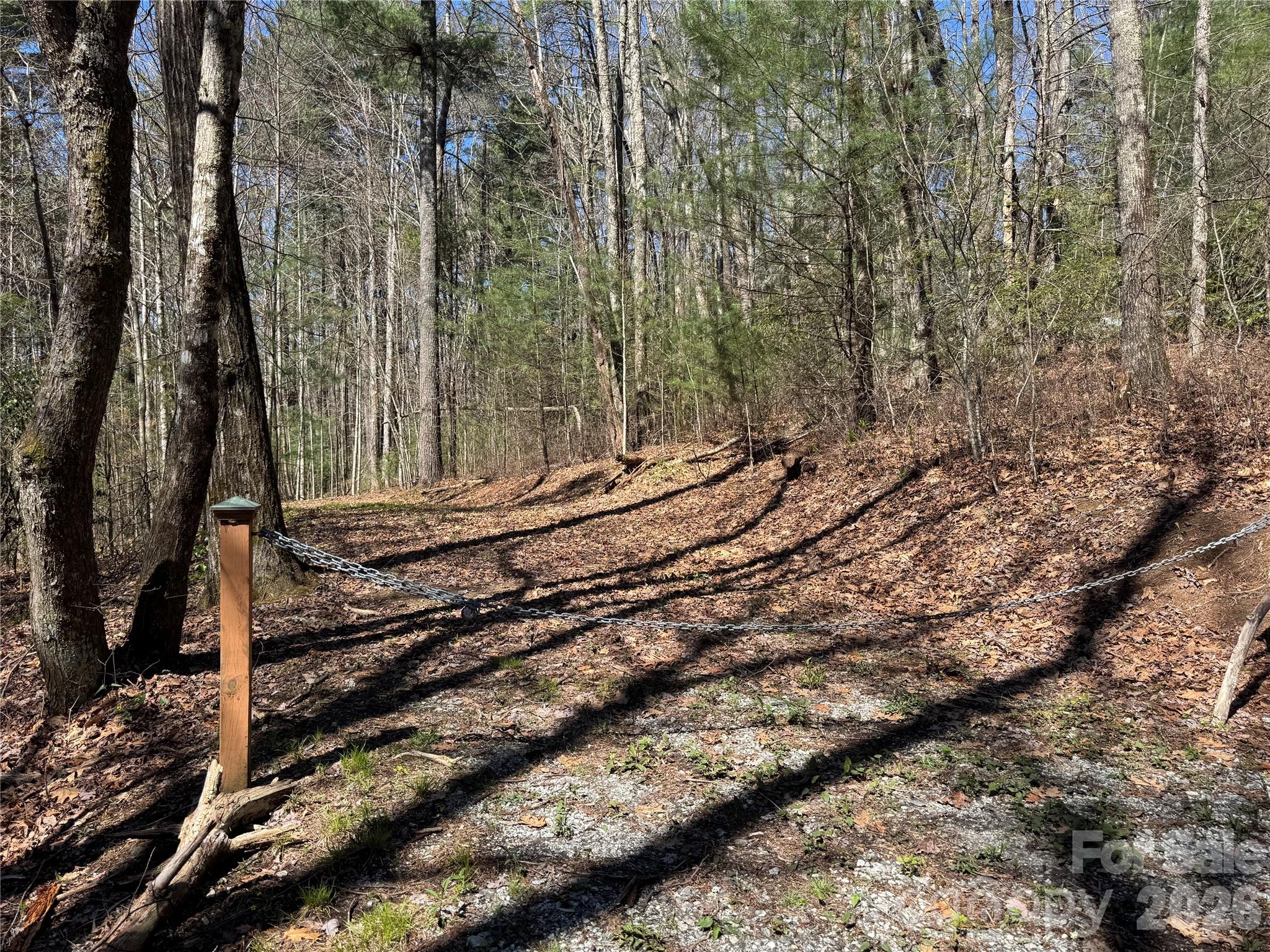 1 Bear Log Road Cashiers NC 28717