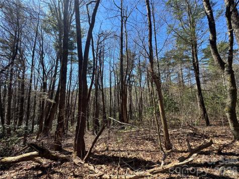 1 Bear Log Road Cashiers NC 28717