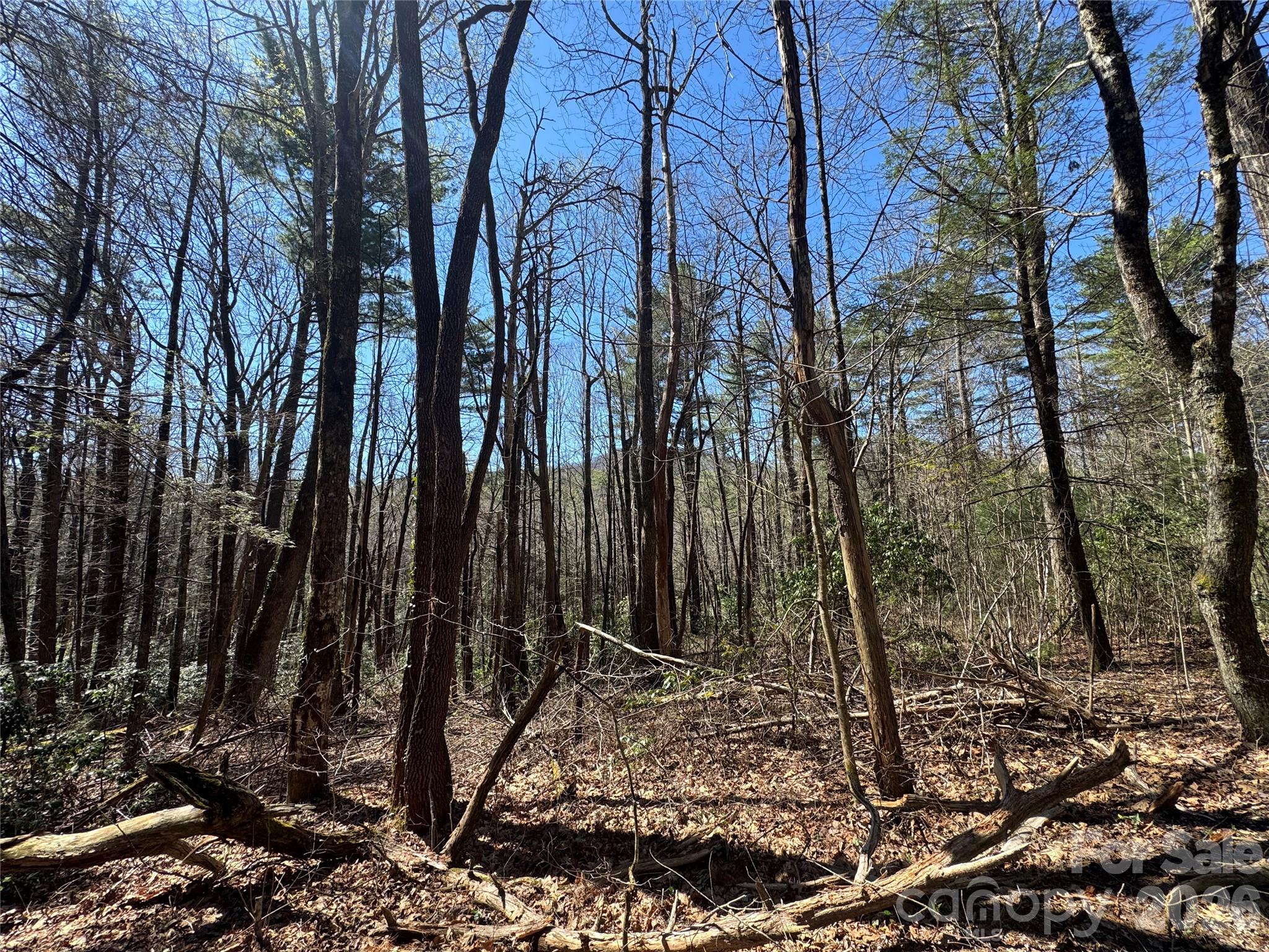 1 Bear Log Road Cashiers NC 28717
