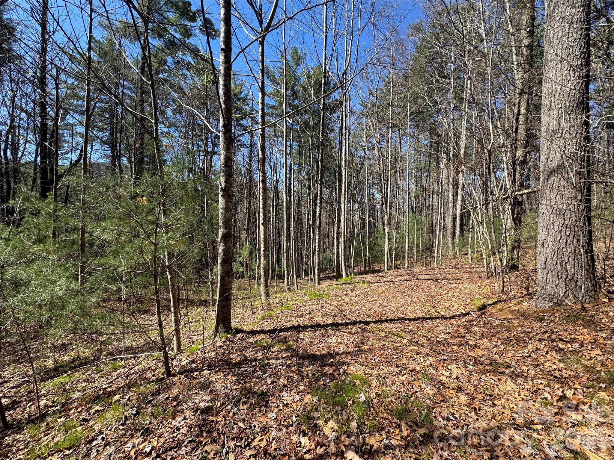 1 Bear Log Road Cashiers NC 28717