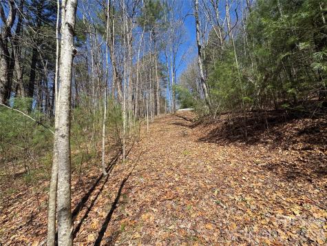 1 Bear Log Road Cashiers NC 28717