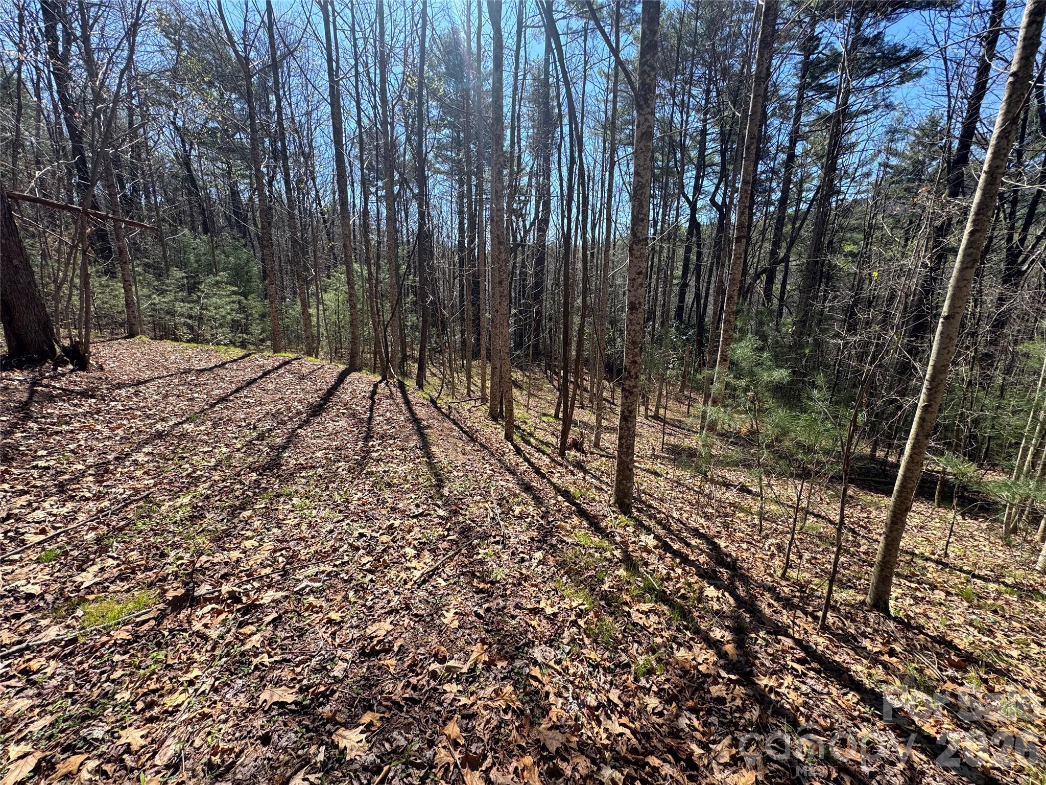 1 Bear Log Road Cashiers NC 28717