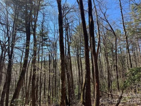 1 Bear Log Road Cashiers NC 28717